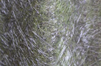 Liswerry fibreglass roof work